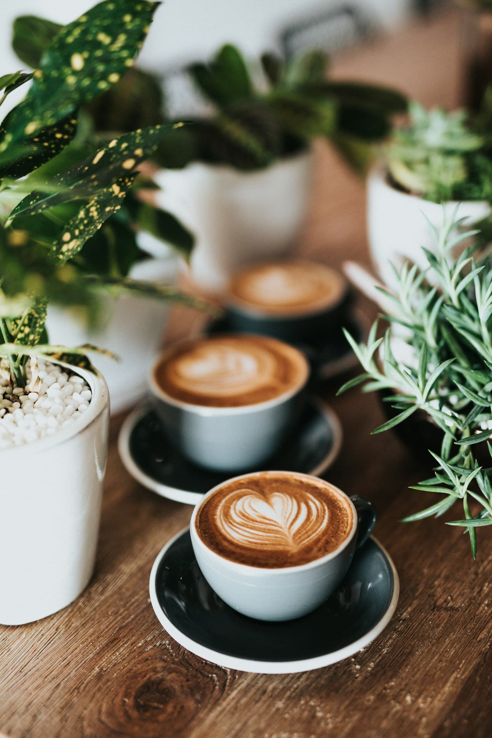Best cafés in Toronto